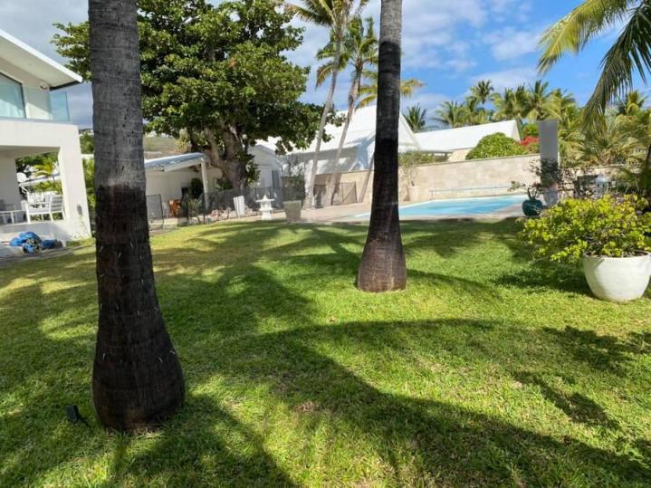 Engazonnement à La Réunion