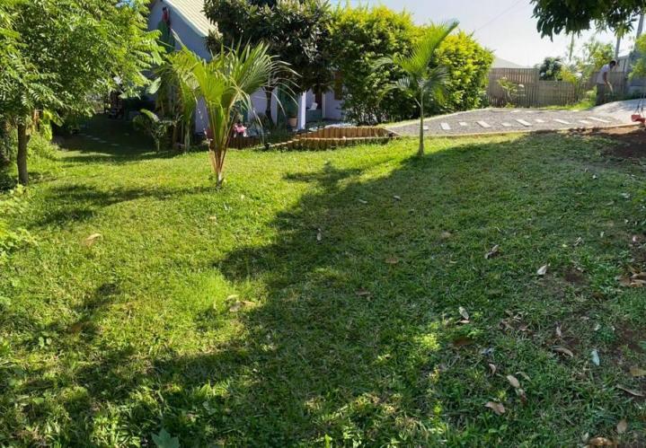 Engazonnement La Réunion
